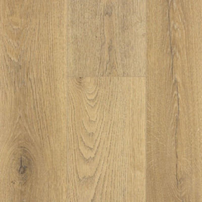 SPC ламинат FirstFloor Кавказский натуральный дуб 1F024