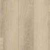 SPC ламинат FirstFloor Английская елка белый дикий лес 1F039