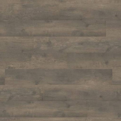 Ламинат Haro TRITTY 100 Дуб Бергамо Карбон