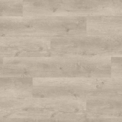 Ламинат Haro TRITTY 100 Campus 4VДуб Бергамо Серебряно-серый