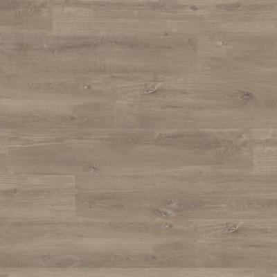 Ламинат Haro TRITTY 100 Campus 4VДуб Лигурия Грейдж