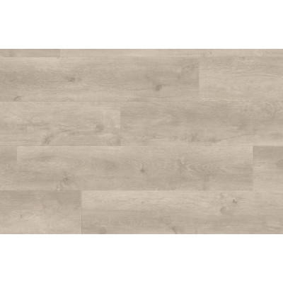 Ламинат Haro TRITTY 100Дуб Бергамо Серебряно-серый