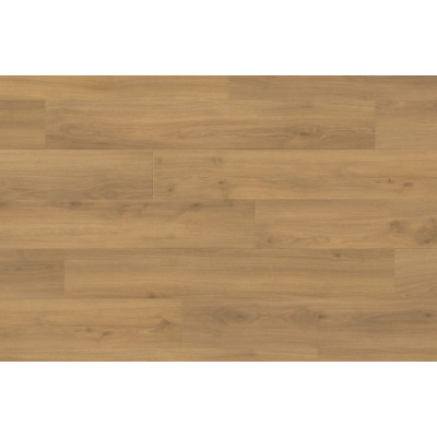 Ламинат Haro TRITTY 100 Campus 4VДуб Эмилия Медовый