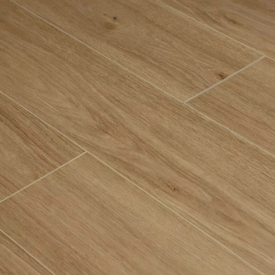 SPC-ламинат Next Step Delta 011