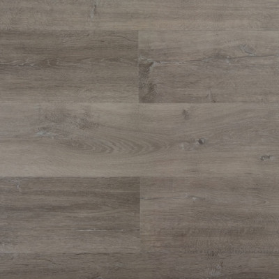 SPC Kirsche 1686 Alfa