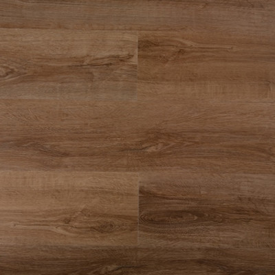 SPC Orange 1858 Alfa