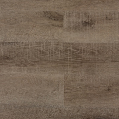 SPC Pflaume 2000 Alfa