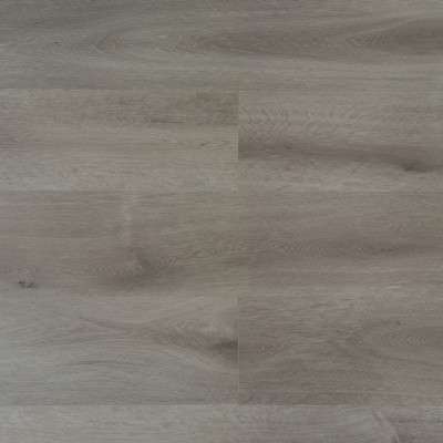 SPC Quitte 2622 Alfa