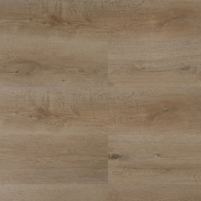 SPC Zitrone 2631B Alfa