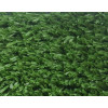 Спортивная трава Desoma Grass Winner 20 Спортивная трава Desoma Grass Winner 20