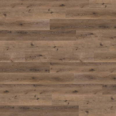 Виниловый пол Wineo 800 Wood XL Дуб болотный рустик DLC00063
