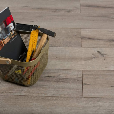 ID06177 Дуб Инвизибл