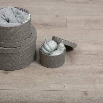 ID06178 Дуб Оксиджен