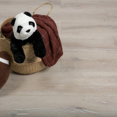 ID06179 Дуб Сайленс