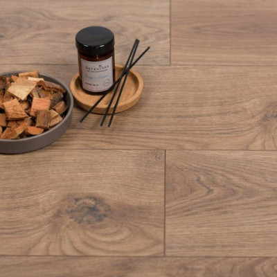 ID06180 Дуб Дженерейшн