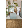 Виниловая плитка Moduleo ROOTS 0,55 EIR SIERRA OAK 58876 Виниловая плитка Moduleo ROOTS 0,55 EIR SIERRA OAK 58876