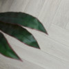 SPC ламинат Steinholz Herringbone Траун STH035Н
