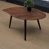 SPC ламинат Steinholz Element Фламме STH047E